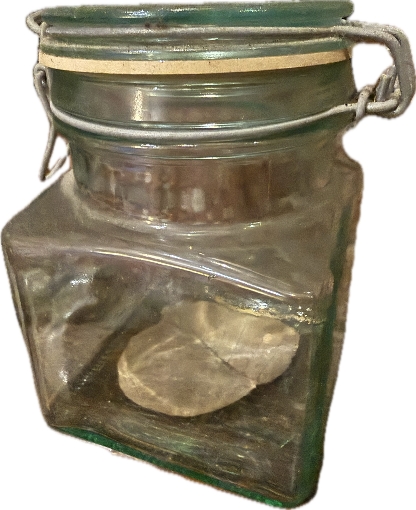 Preserved Bodhi leaf in its glass jar